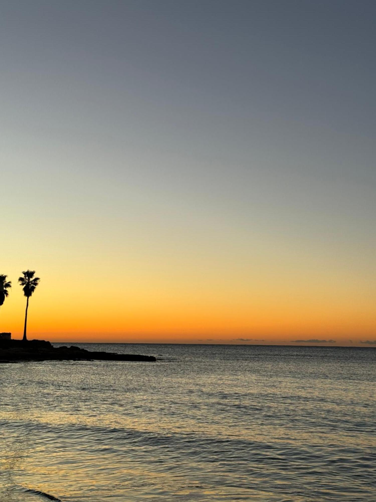 Beach Apartament In Torrevieja Exteriör bild